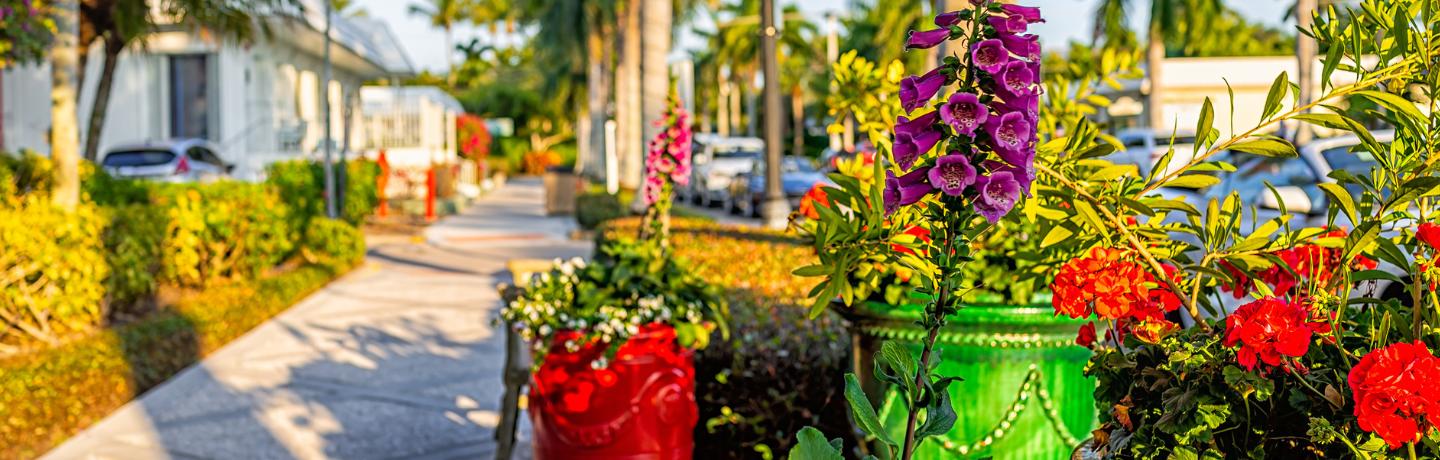 Essential Garden Prep in South Florida with BrightView