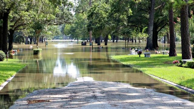 Hurricane Harvey Texas flood cemetery