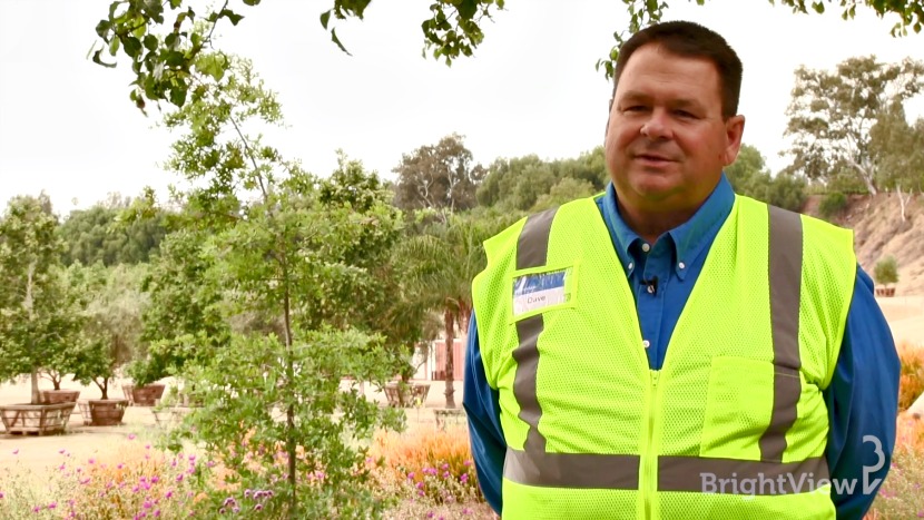 What are the Steps to Relocate a Tree? | Ask BrightView