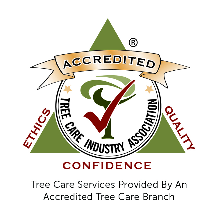 Tree Care Industry Association (TCIA) Accreditation
