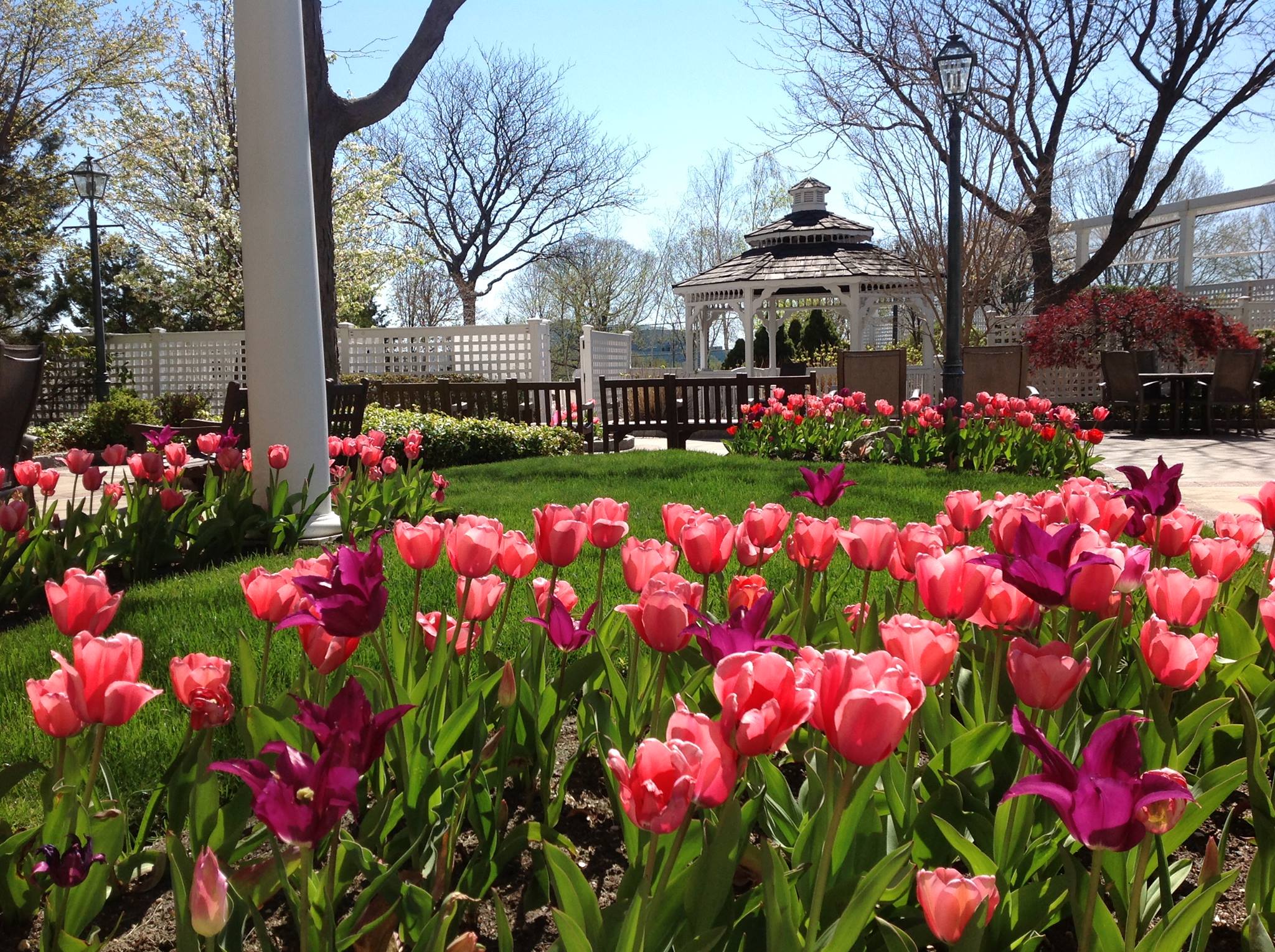 New York, NY Landscape Maintenance Company BrightView