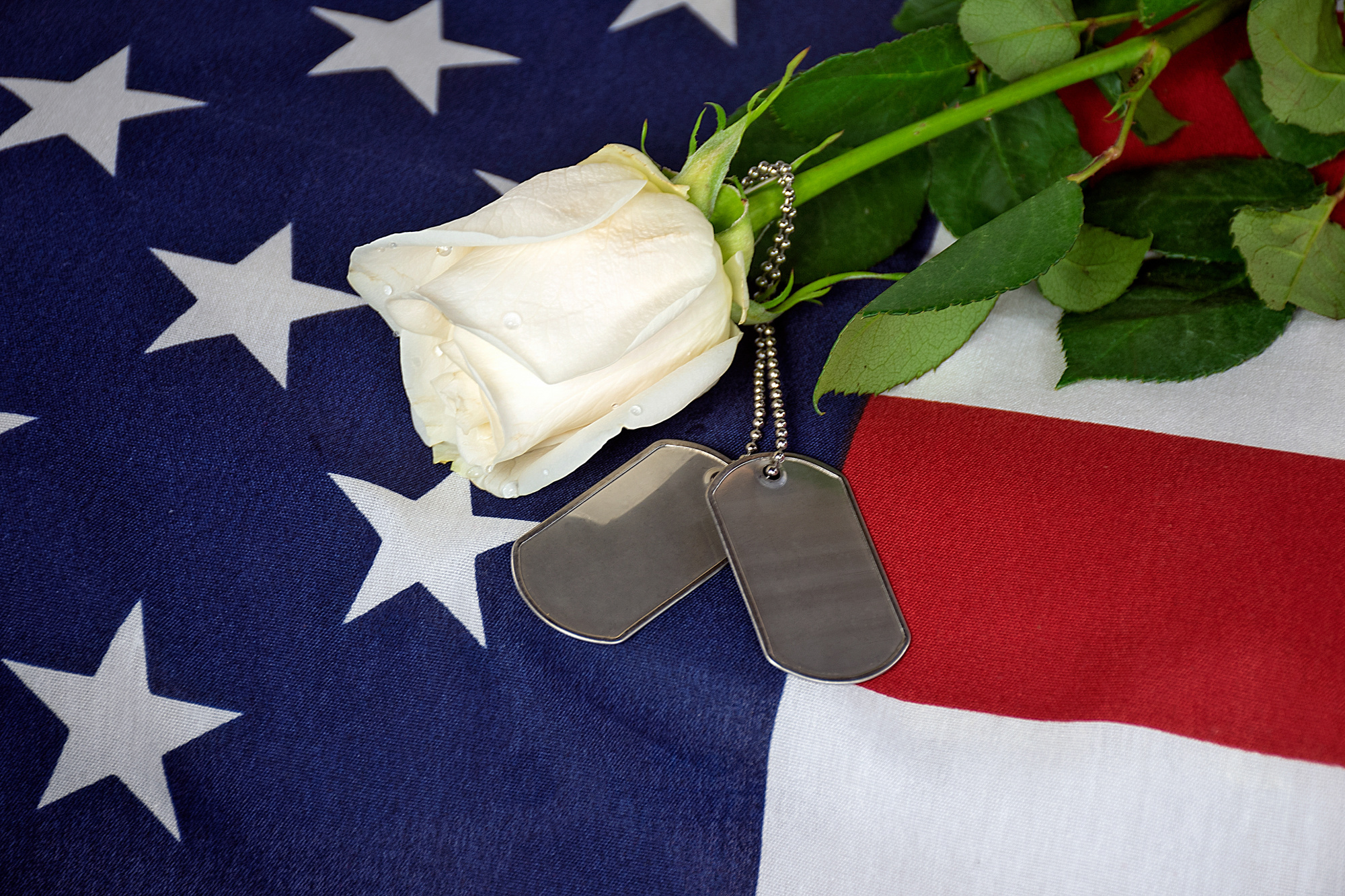 American flag rose military dog tags