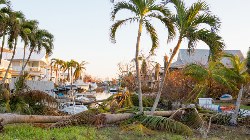 Create a Hurricane Resistant Landscape