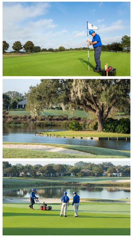 We use our large scale purchase capabilities, streamlined administration technologies, technical skills, and top-level industry connections to produce up to 10 percent annual savings while improving player experience.