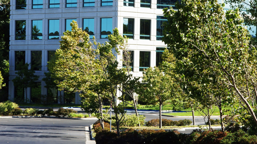 Parking lot landscaping