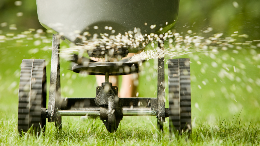 Use granular fertilizer to promote a vibrant lawn