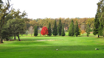 Black Oak Golf Course Regains Control
