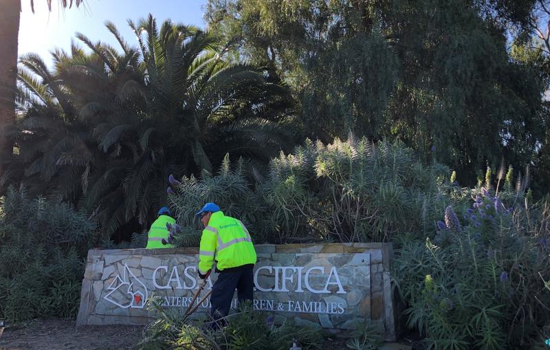 Casa Pacifica Cleanup