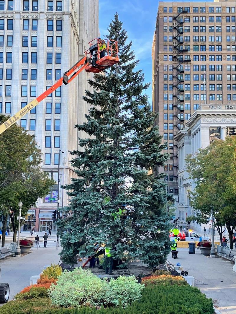 Chicago Christmas tree BrightView crane