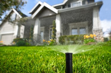 Curb Appeal of Sprinklers