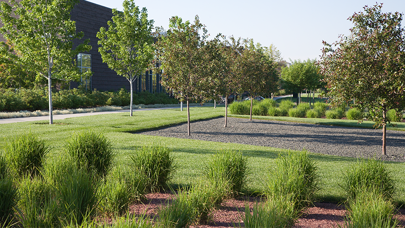 Use soil treatments to minimize drought impact