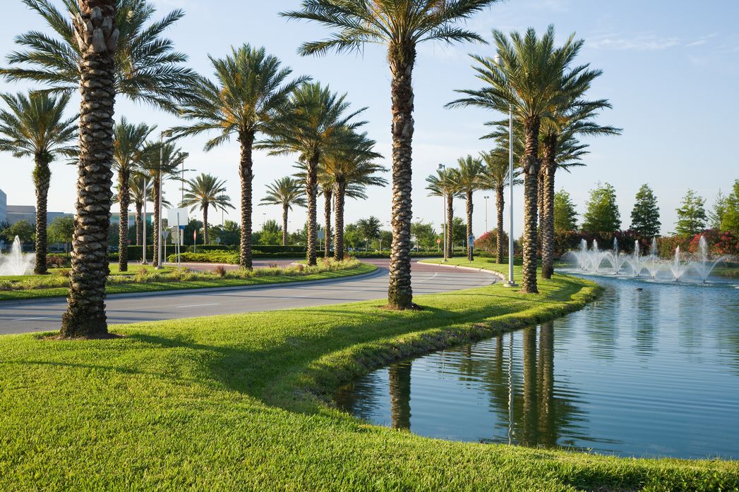 Jacksonville, FL Tree Care Company BrightView