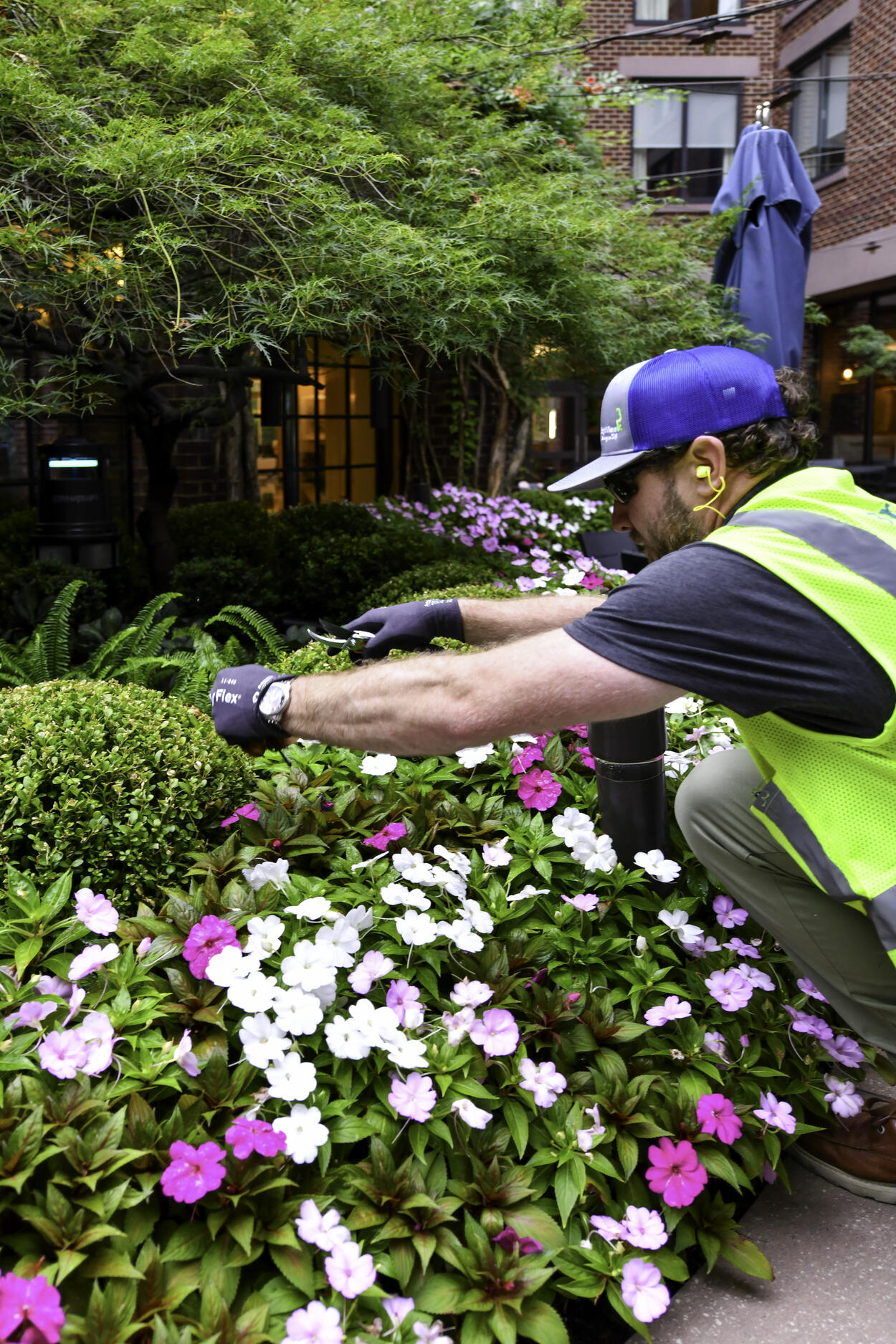 BrightView team member Four Seasons flowers pruning