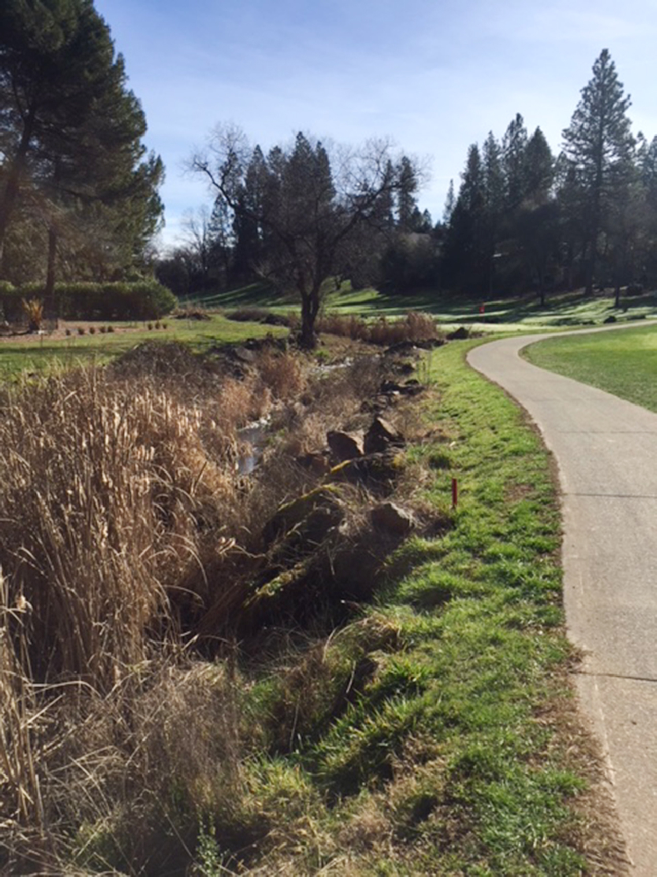 Lake of the Pines Cart Paths