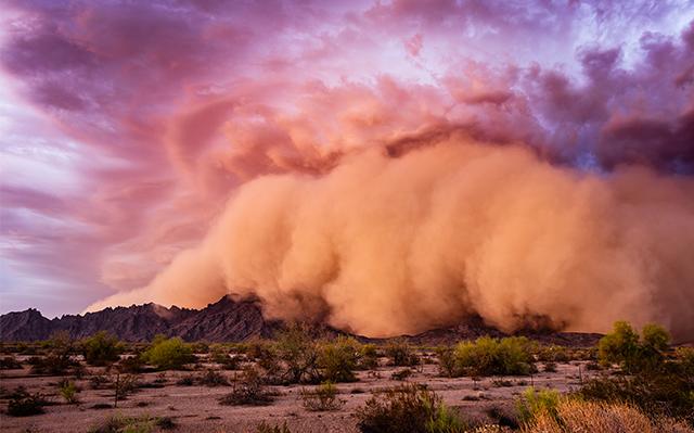 Monsoons frequently produce strong winds that can blow loose sand and dirt from the ground, causing a large wall of dust and debris, or a dust storm (also called a “haboob”).
