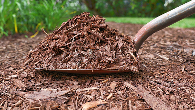 Woo Mulch