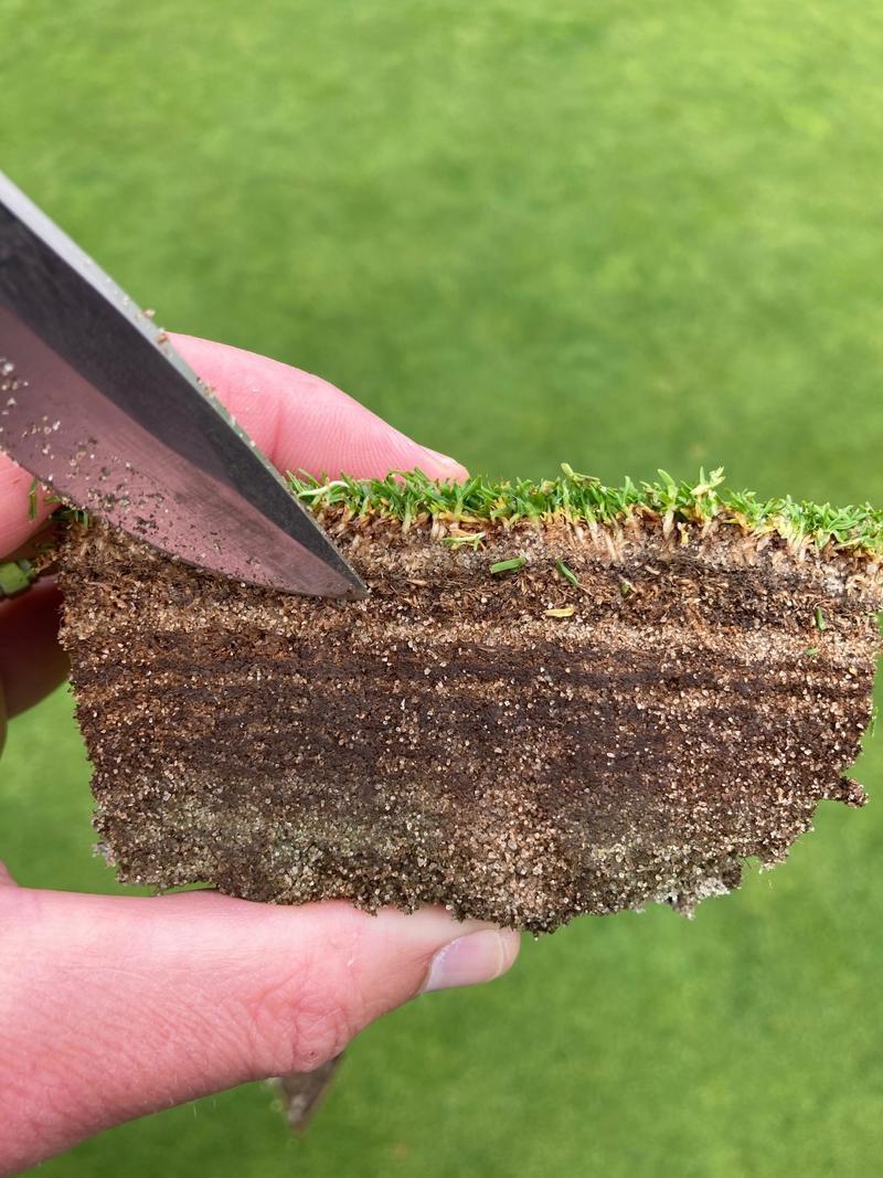 Turf, Soil and Water Quality Diagnostic Testing 