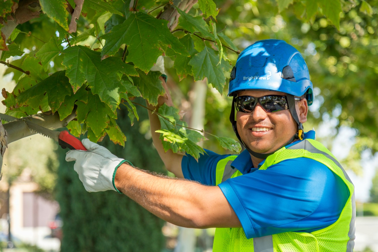 BrightView Tree Care Crew