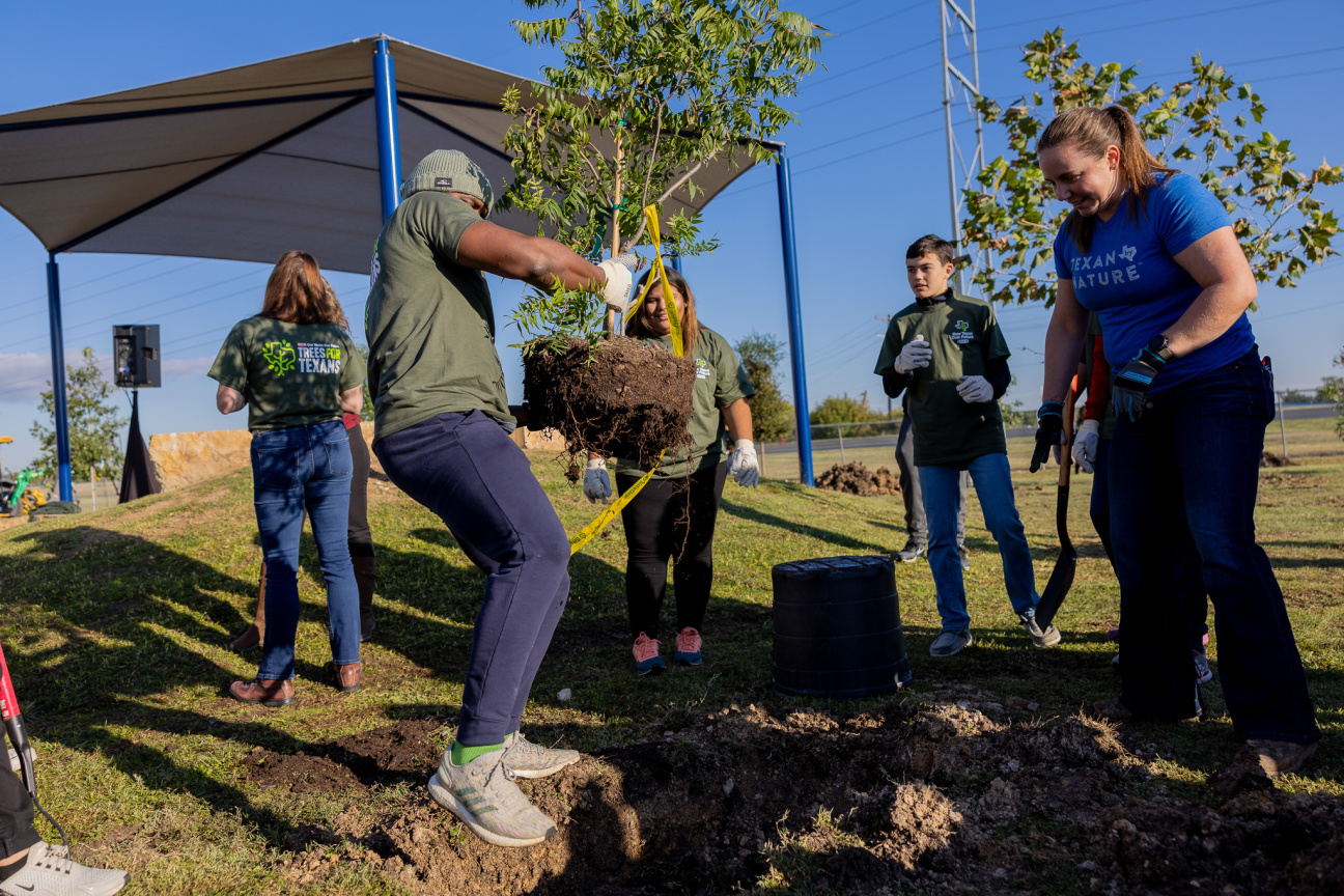 Tree planting Trees for Texans community