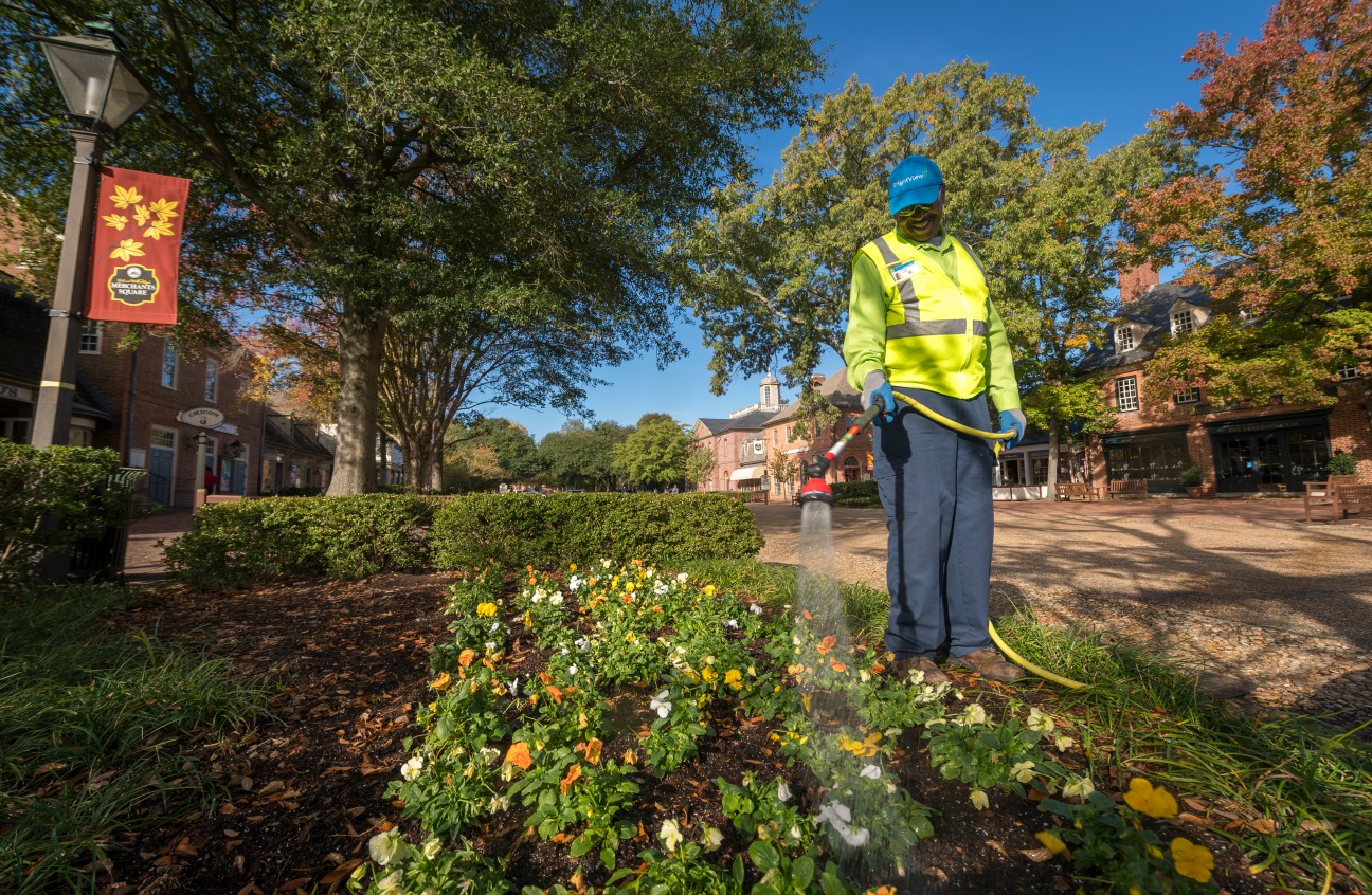 Colonial Williamsburg landscaping outsourcing