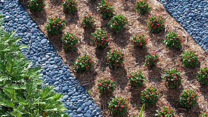 Xeriscaping Reduces Water Usage