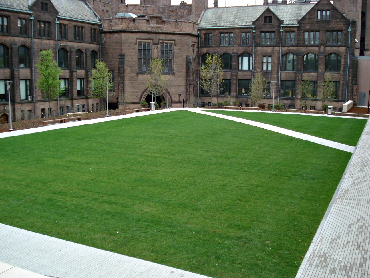 Yale turf