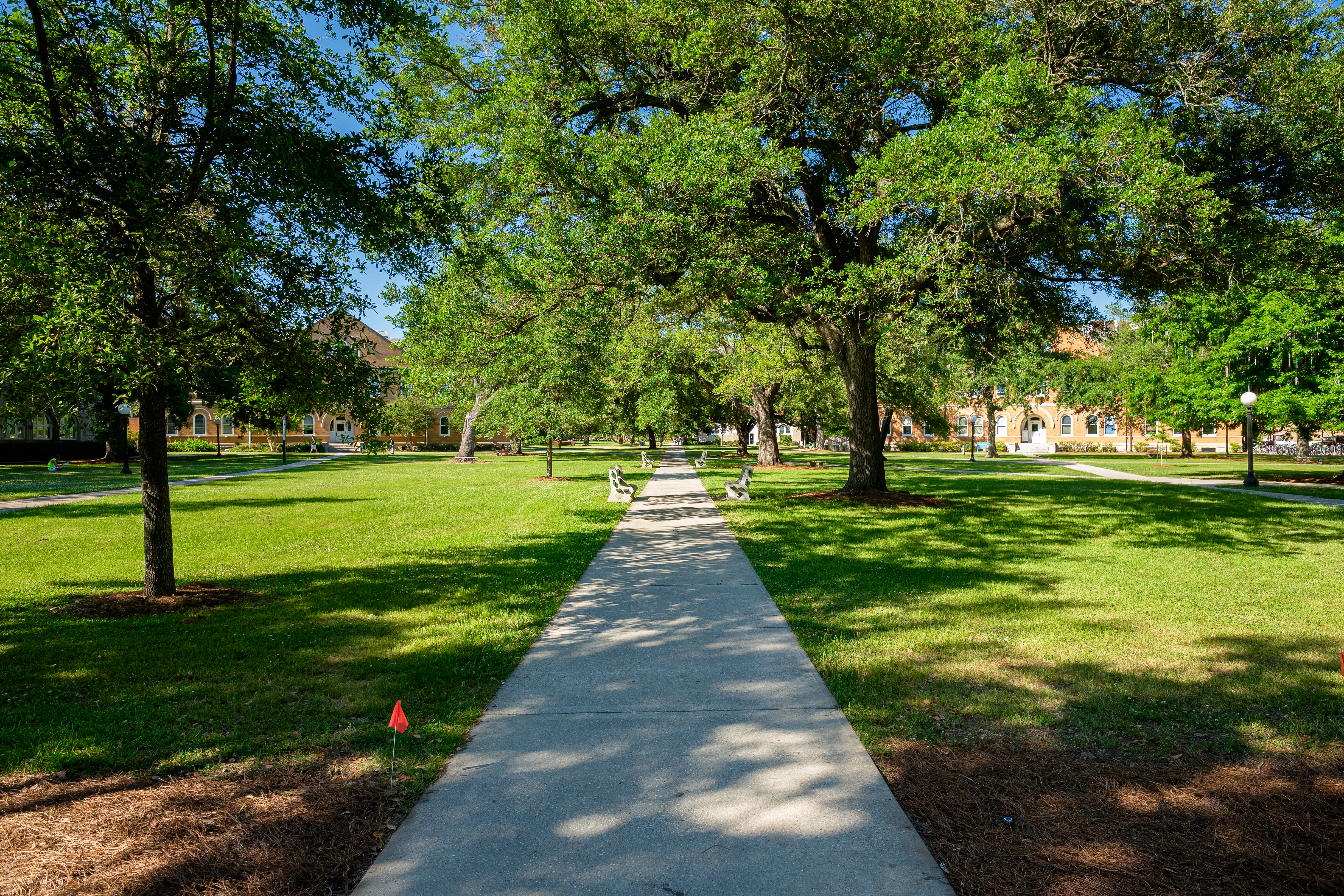 Beautiful campus walking path