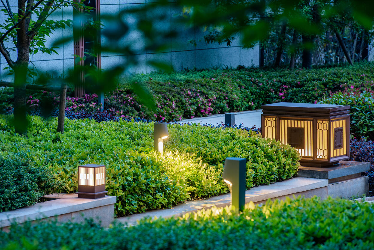 landscape lights shrubs flowers