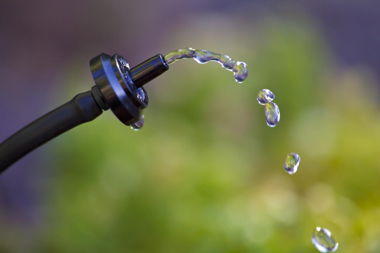 drip irrigation water droplets