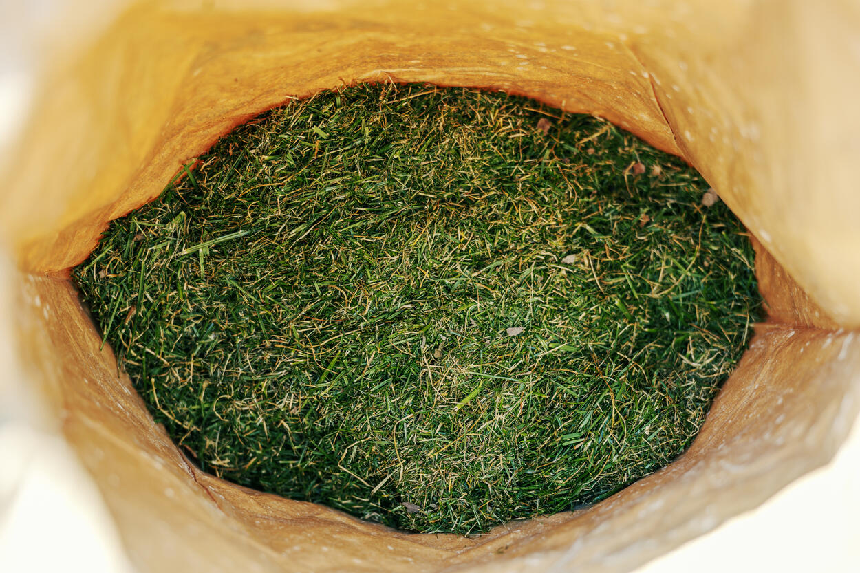 Grass clippings bag
