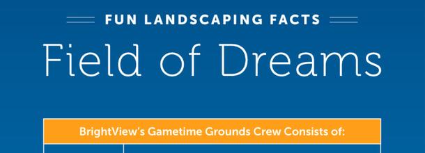 BrightView MLB at Field of Dreams fun facts infographic