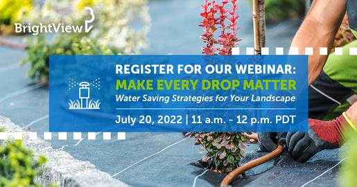 Register for our Webinar: Make Every Drop Count - Water Saving Strategies for Your Landscape