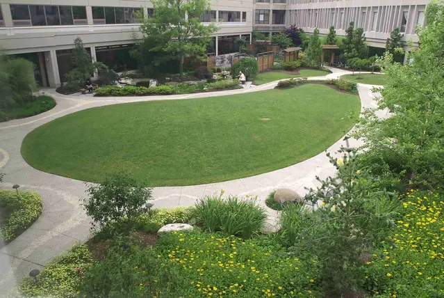 Landscape Maintenance in Orlando, FL