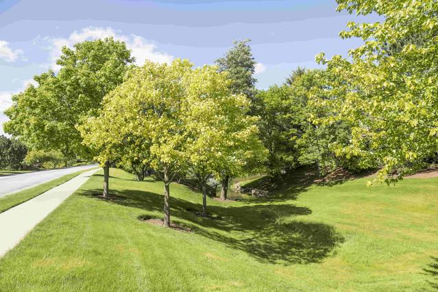 Tree Care Experts of Norristown, PA