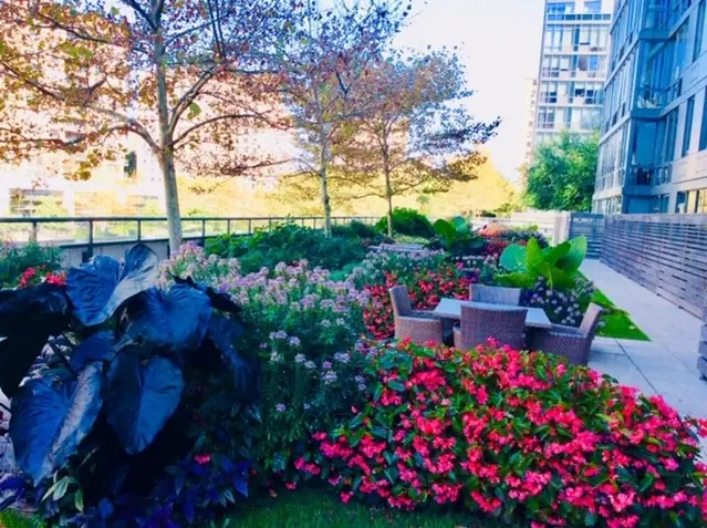 Commercial Landscape Maintenance in New York City