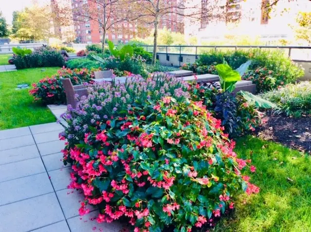 New York City Rooftop Garden