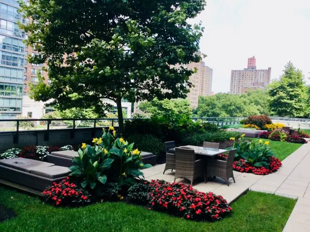 New York City Tree Care Services