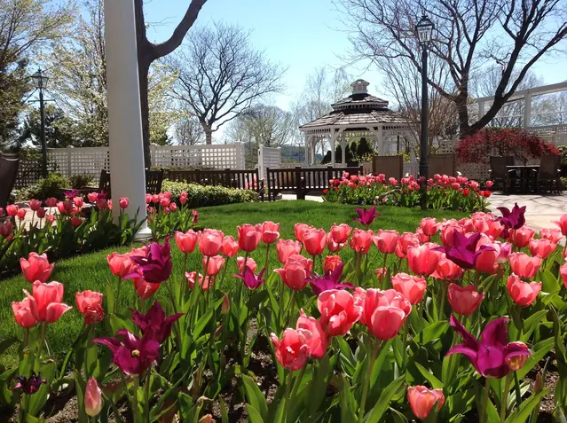 New York City Urban Garden