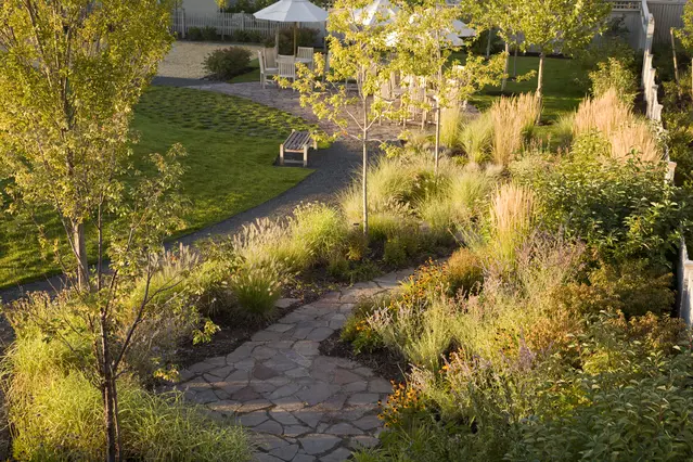 Design-Build Landscape Development