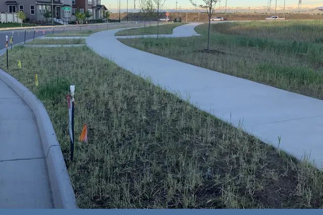 Hardscape Construction Services