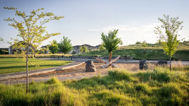 Landscape Construction at Stapleton