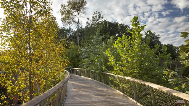 Dallas Arboretum Landscape Development