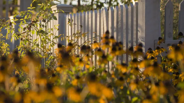 Daybreak Pre-Development Services