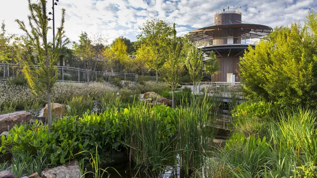 Landscape Development Dallas Arboretum