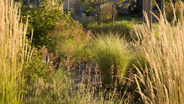 Landscape Development Daybreak1