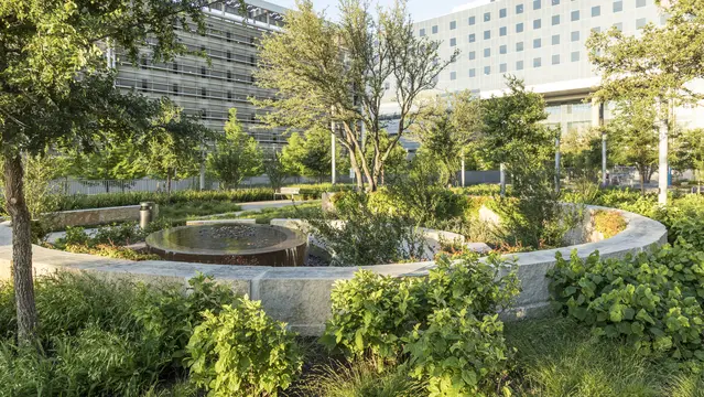 Parkland Hospital Design Build