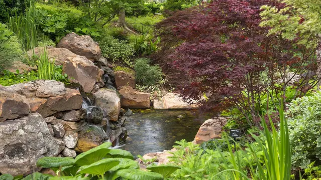 Red Maple Rill Landscape Construction