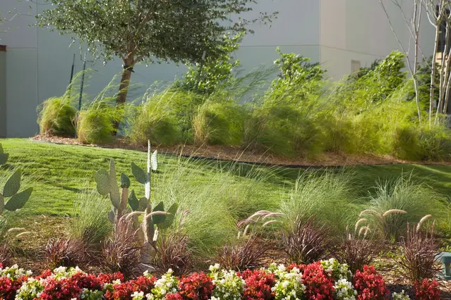 Schertz, TX Landscape Maintenance Services