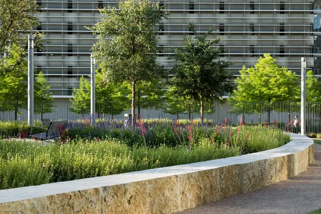 Prosper, TX Tree Care Services