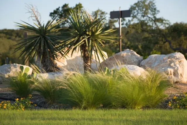 Tree Care Experts of Prosper, TX